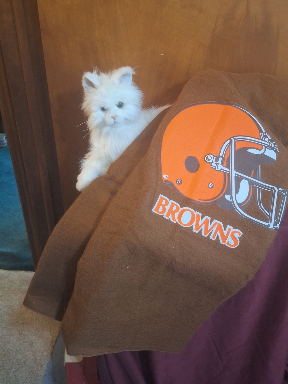 NFL Cleveland Browns Brown and Orange Throw Blanket